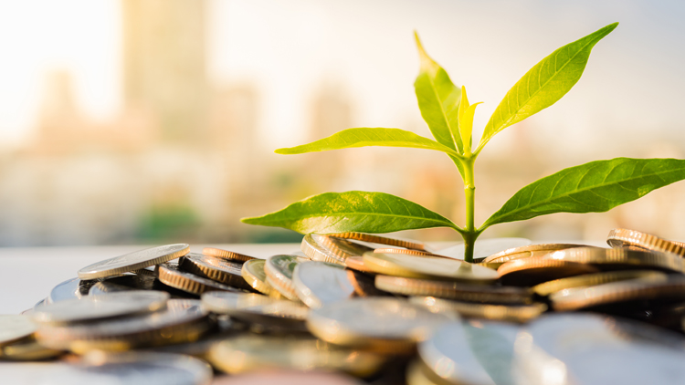 inversión pymes creciendo